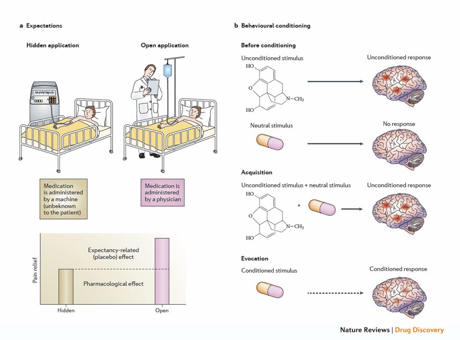 The Placebo Response In Medicine Minimize Maximize Or Personalize Nature Reviews Drug Discovery