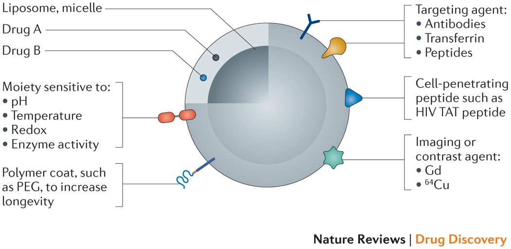 Multifunctional, stimuli-sensitive nanoparticulate systems for drug  delivery | Nature Reviews Drug Discovery