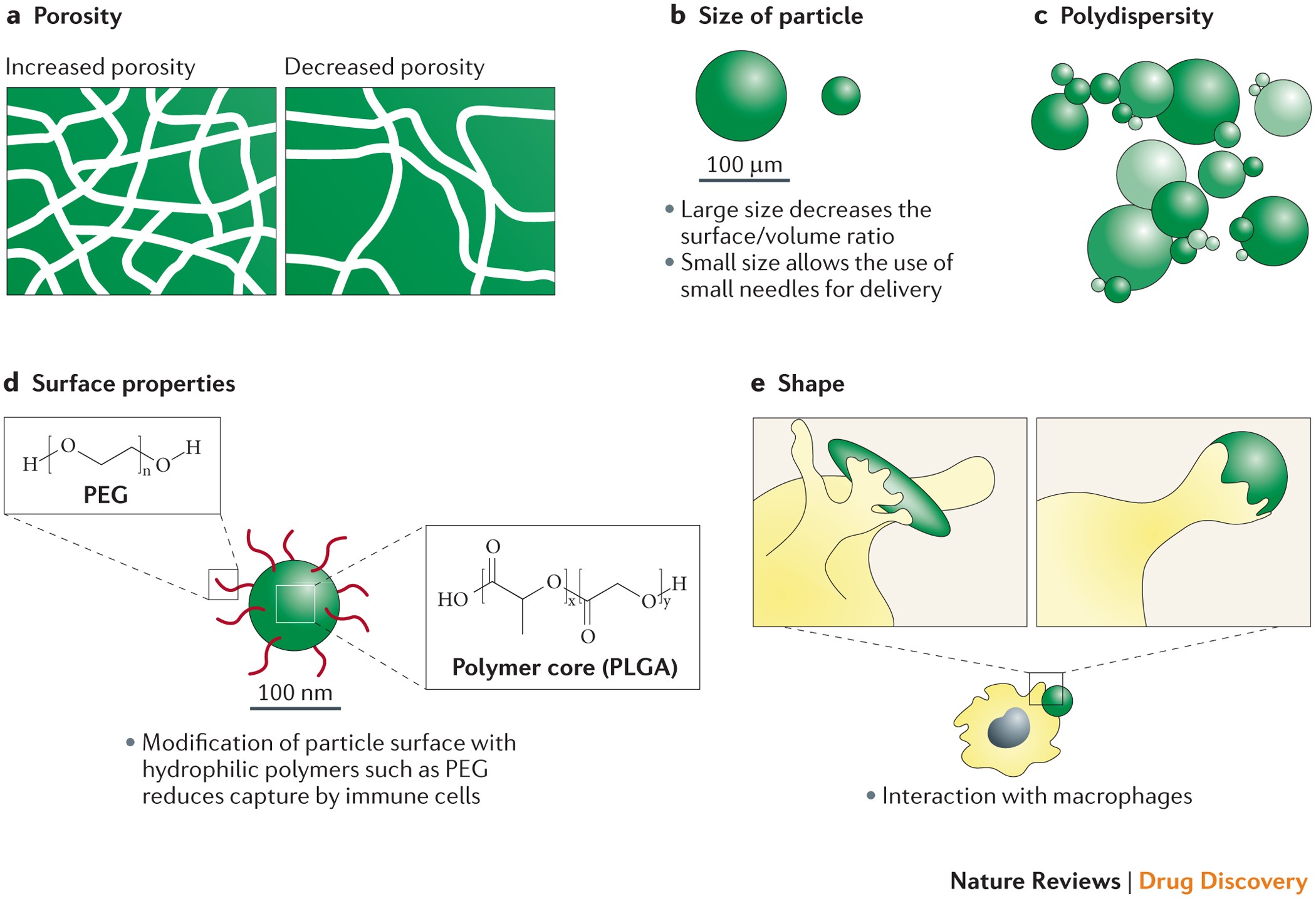 Overcoming The Challenges In Administering Biopharmaceuticals Formulation And Delivery Strategies Nature Reviews Drug Discovery