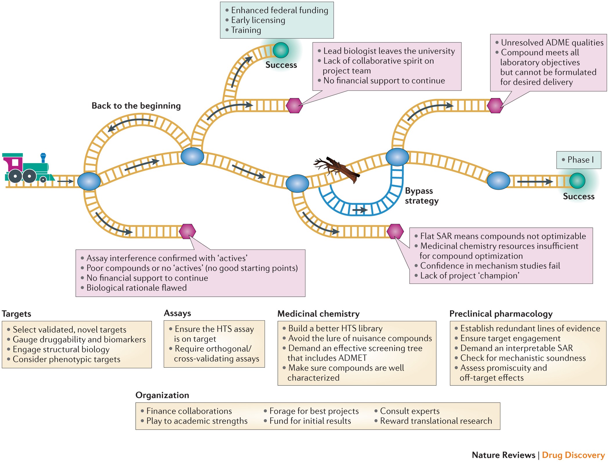 Importance of toxicity testing in drug discovery and research