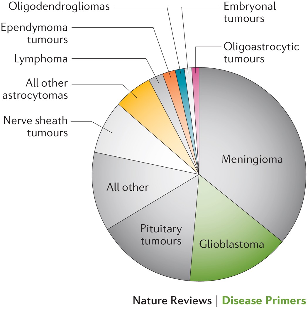 Glioma | Nature Reviews Disease Primers