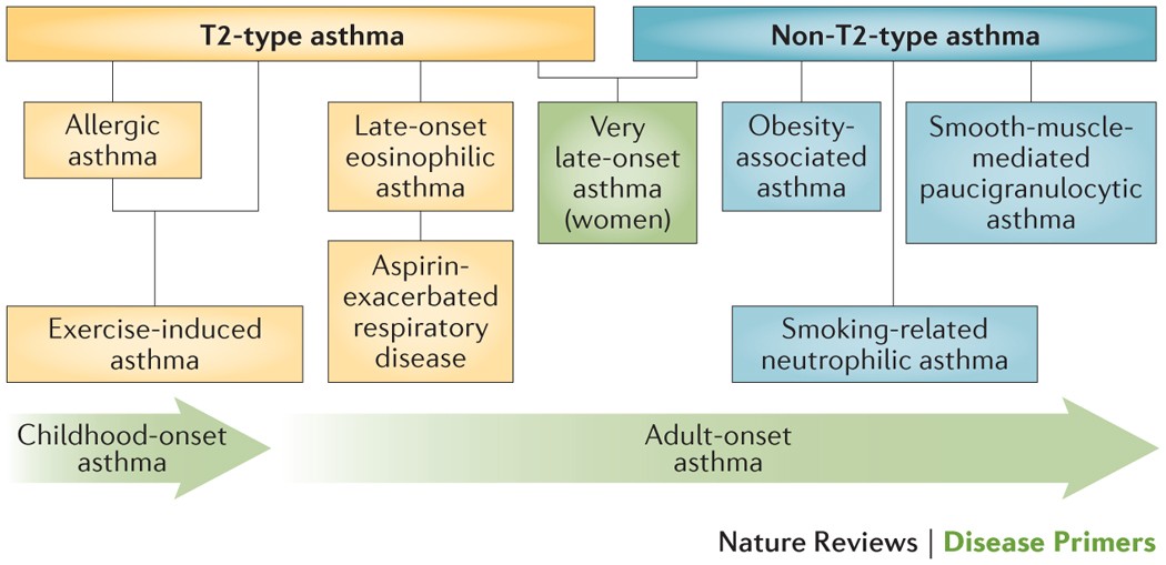 Asthma Nature Reviews Disease Primers