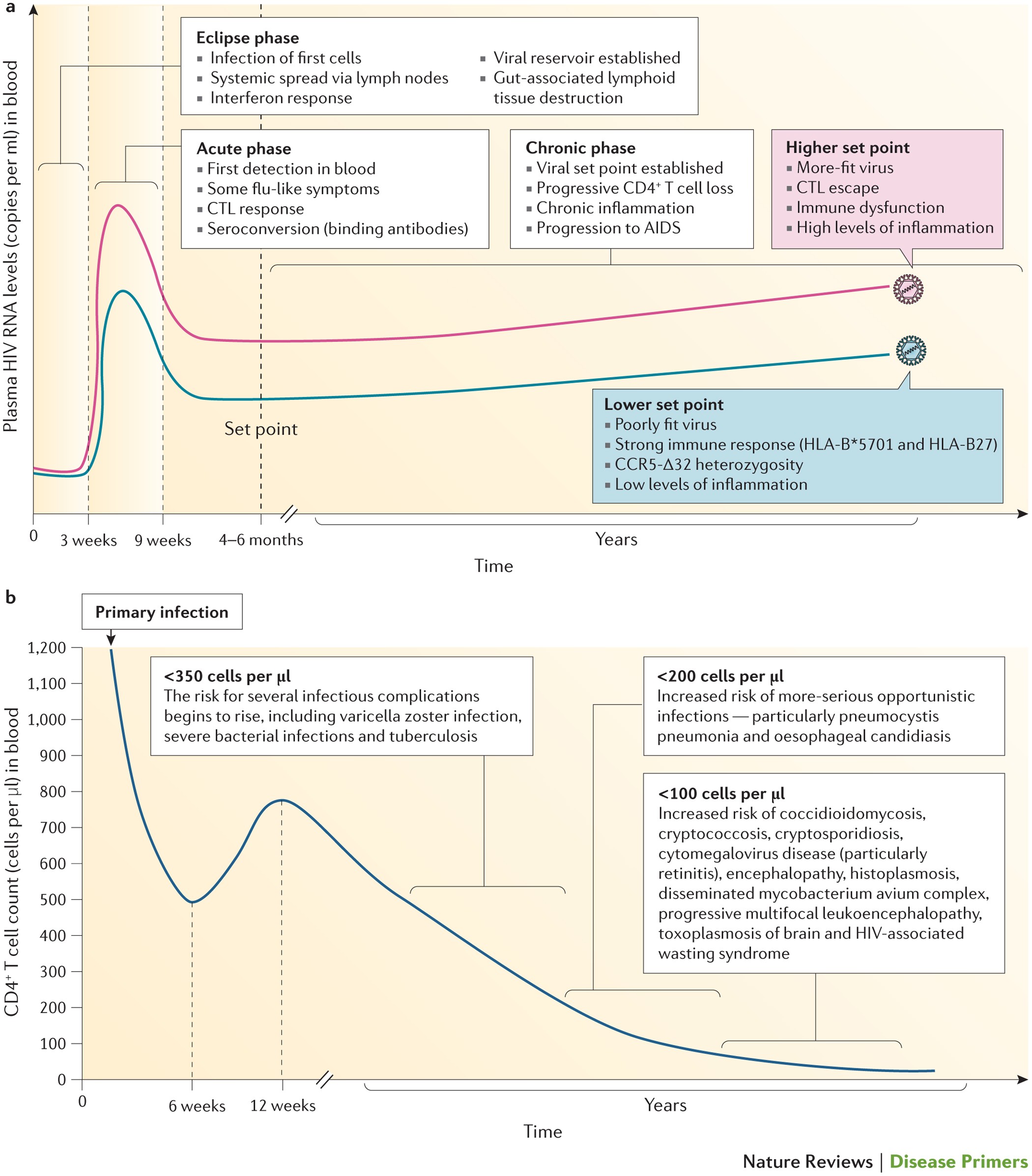 HIV infection  Nature Reviews Disease Primers