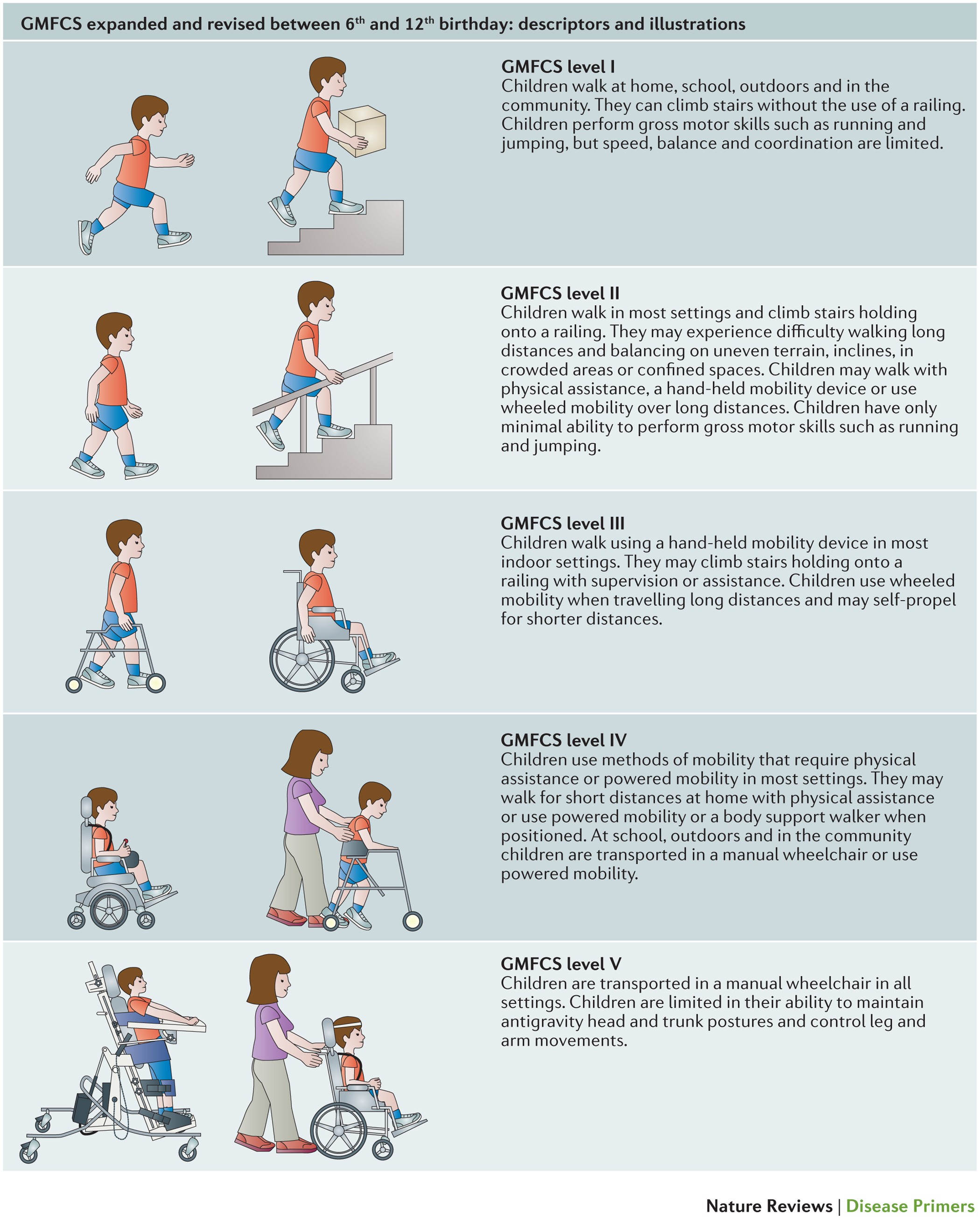 Cerebral Palsy Growth Chart Gmfcs