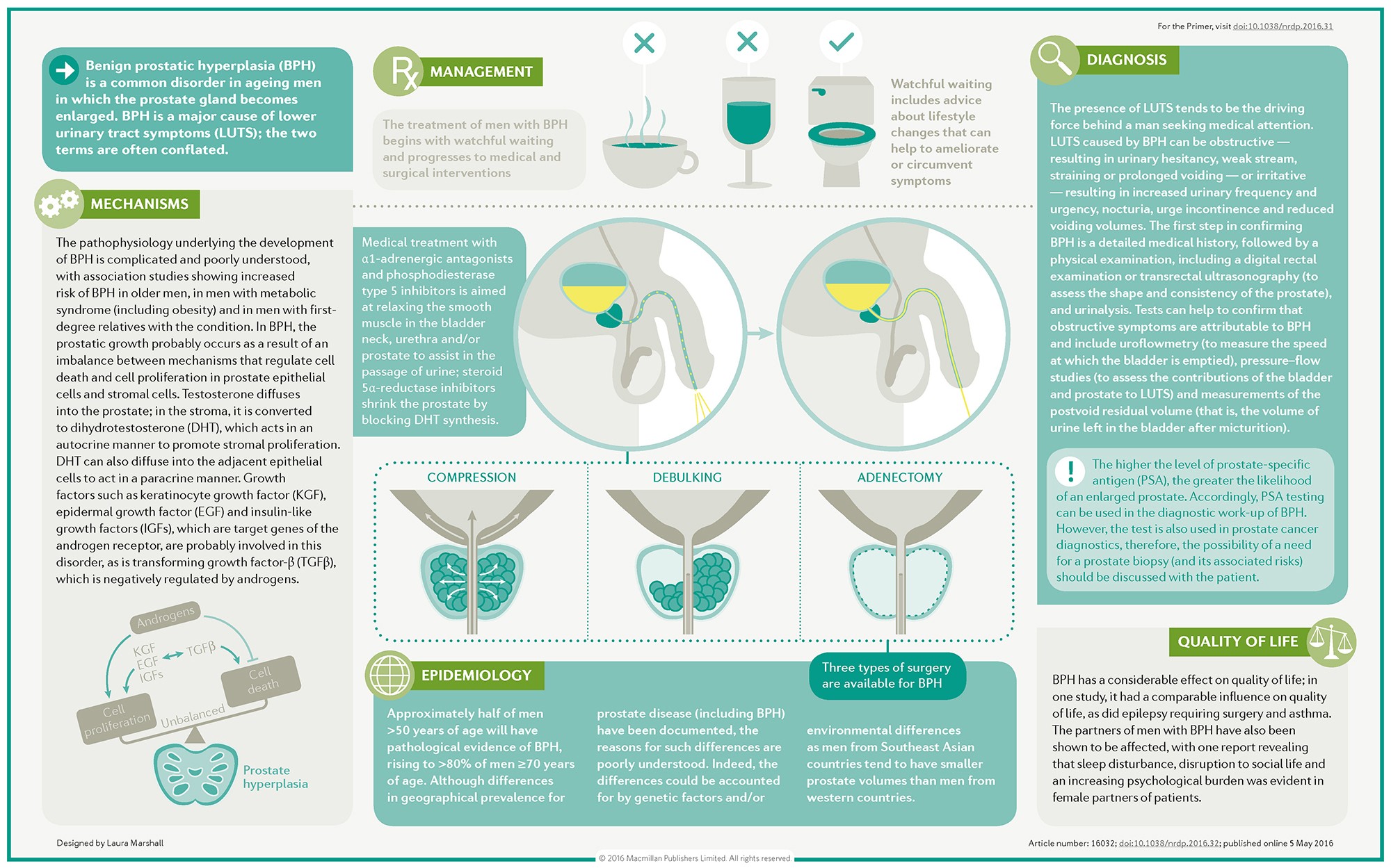 prostate 20 év)