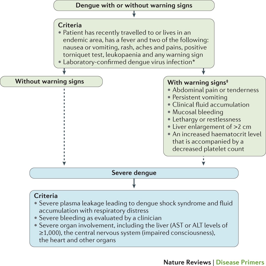 Study on the Accumulation Mechanism of Amino Acids during Bruising