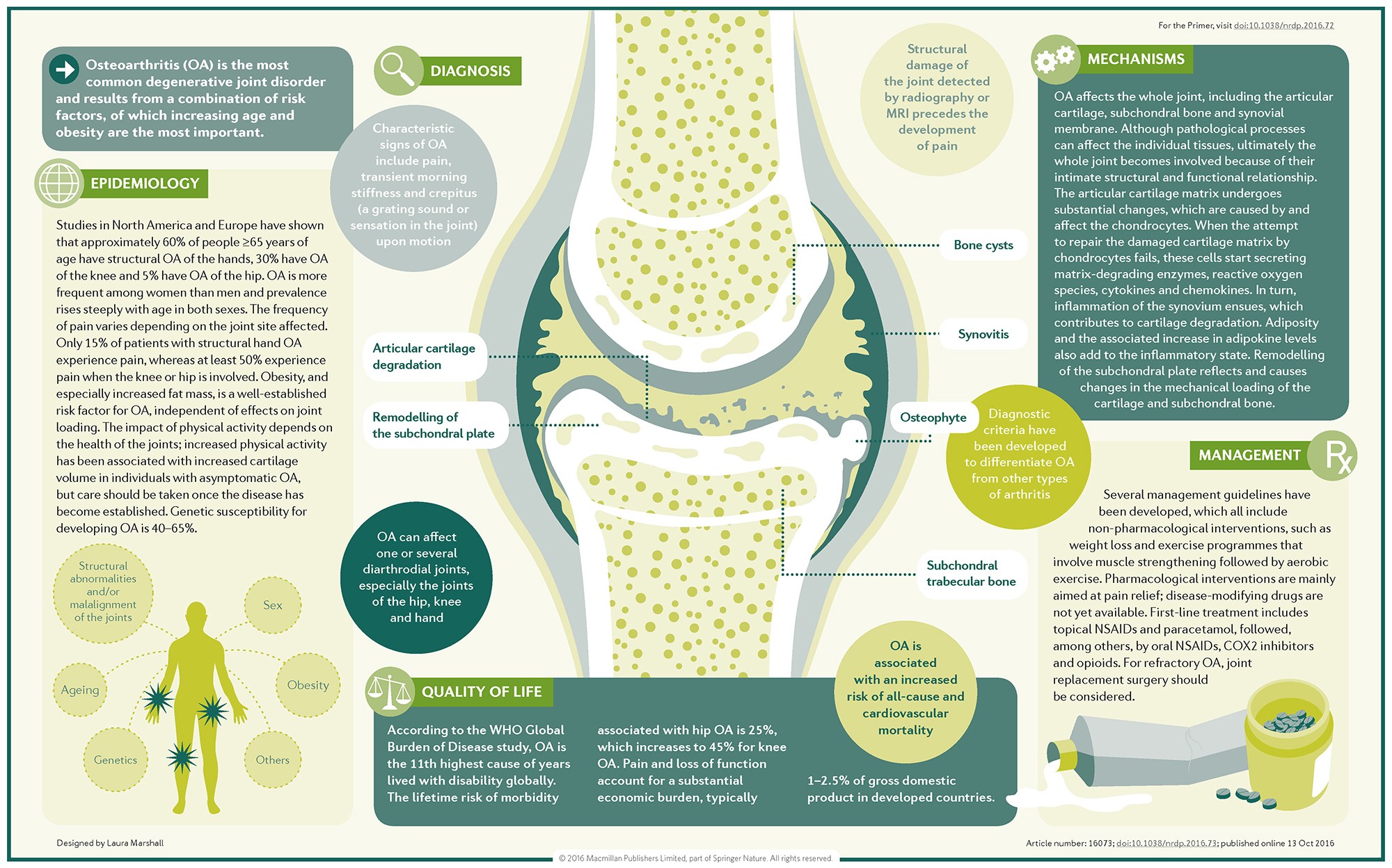 Nature reviews. Osteoarthritis treatment Guidelines. Остеоартрит эпидемиология.