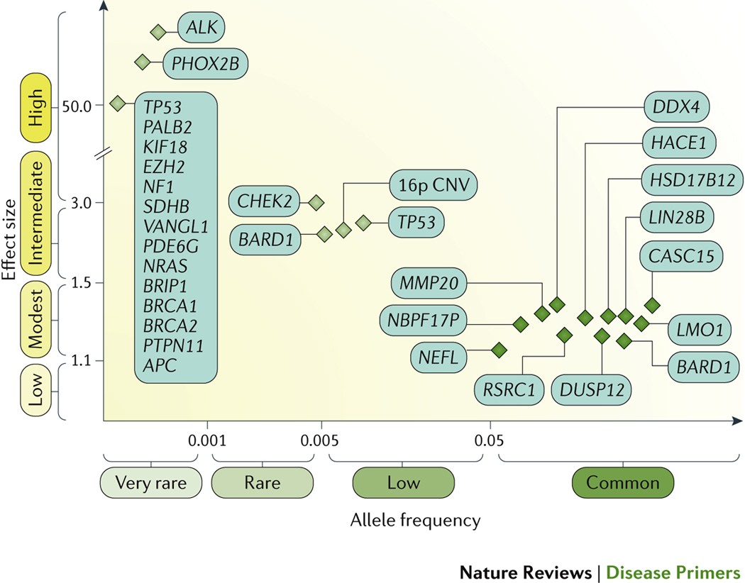 Neuroblastoma | Nature Reviews Disease Primers
