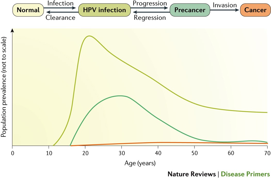 komplikasi human papillomavirus paraziți de frecvență comună