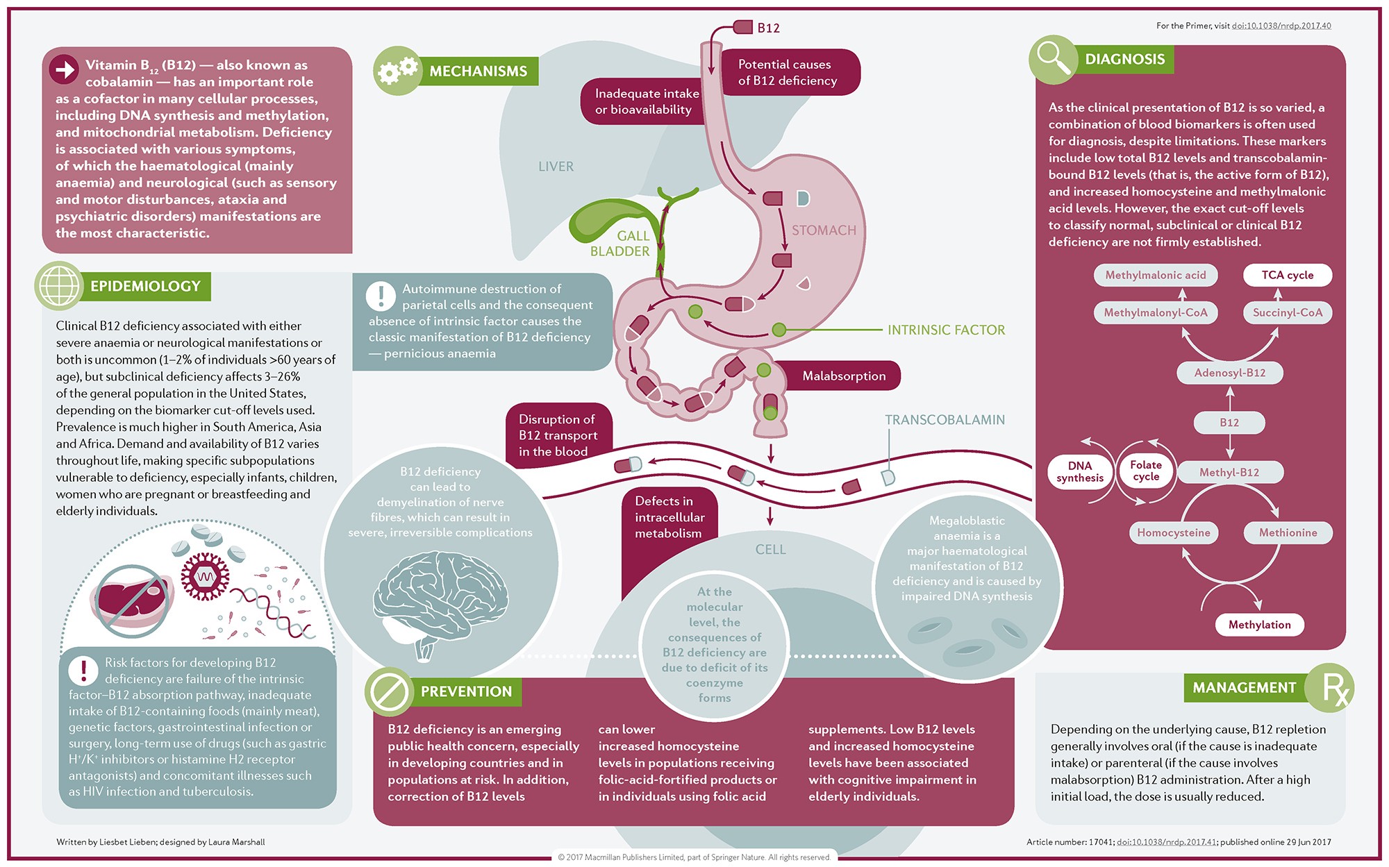 Vitamin b12 deficiency