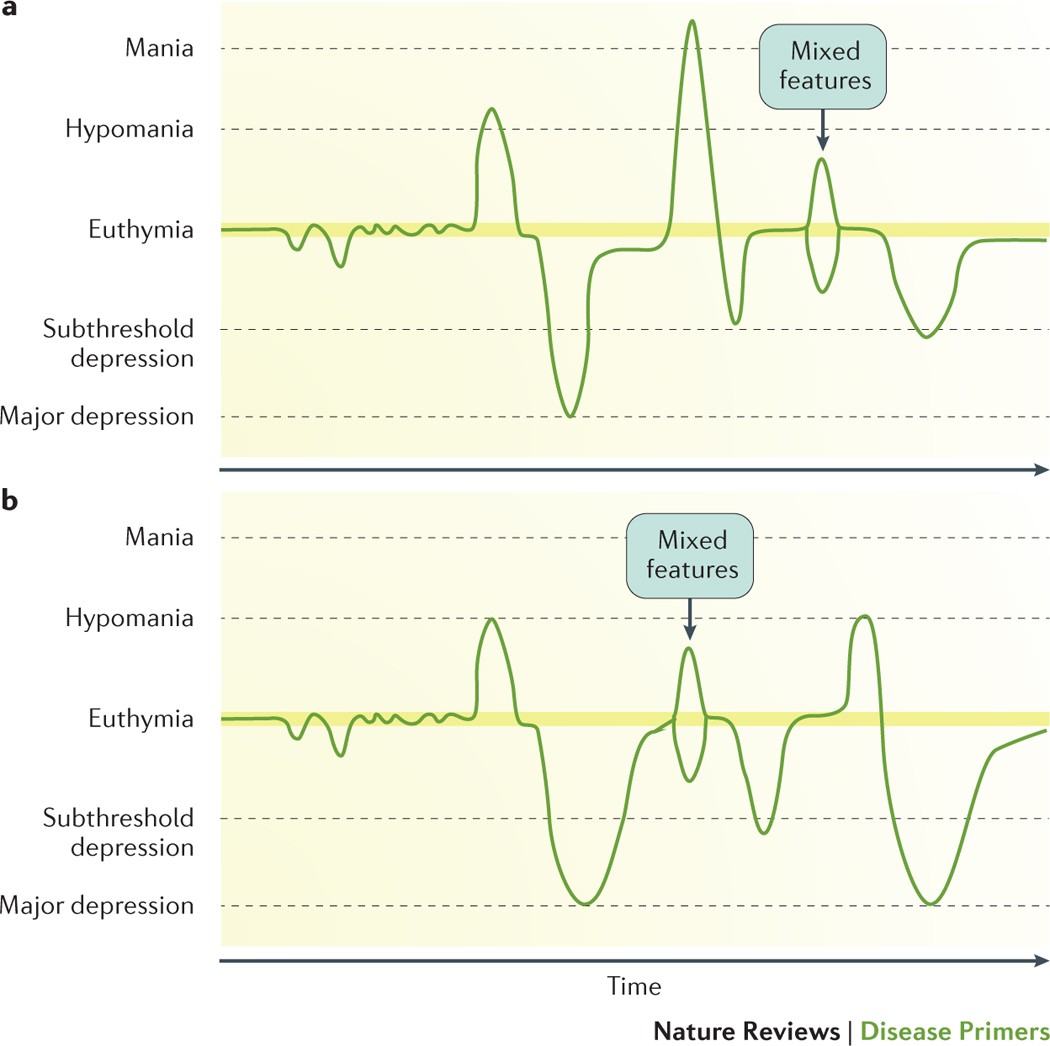 Mood Disorder Chart