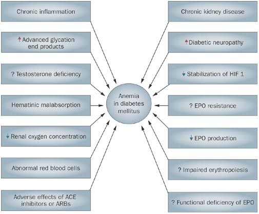 diabetes/metabolism research and reviews abbreviation cukorbetegség és a kezelés izraelben