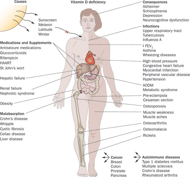 Health Benefits Of Vitamin D And Sunlight A D Bate Nature Reviews Endocrinology