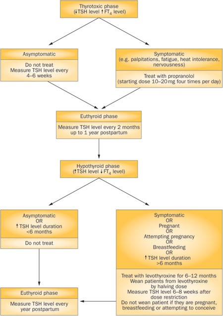 Thyroid Disorders In Pregnancy Nature Reviews Endocrinology