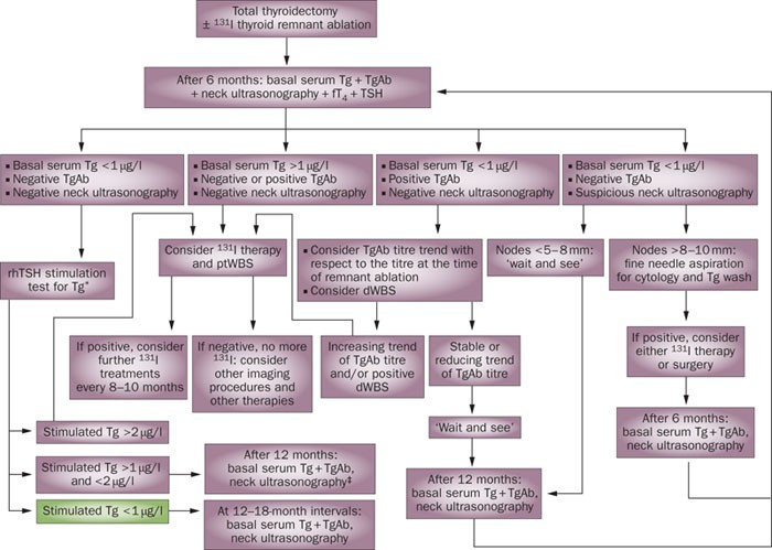 Advances in the follow-up of differentiated or medullary thyroid cancer