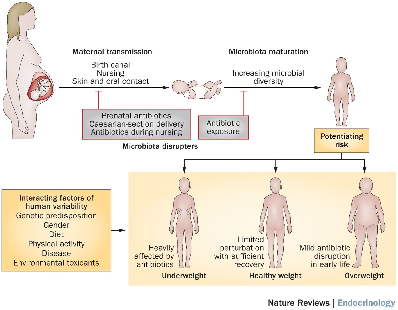 The Extended Metropolis - Settlement Transition in Asia, image size:1395x1088