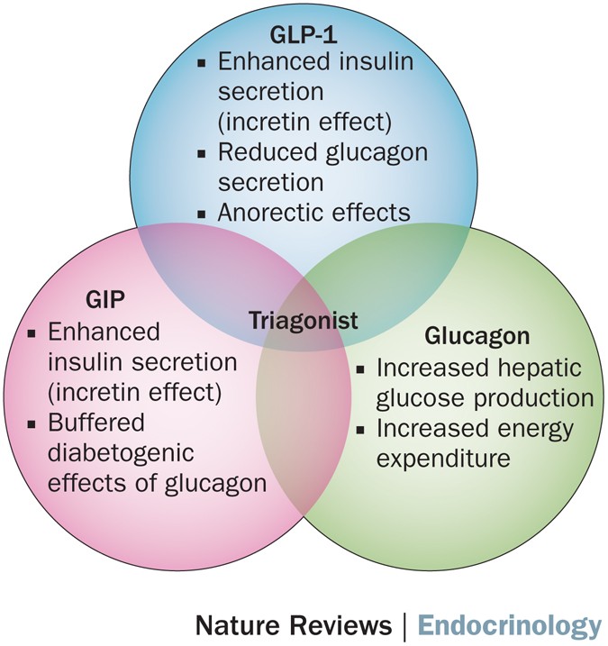 does glp 1 cause dehydration Dehydration from GLP-1 Injections