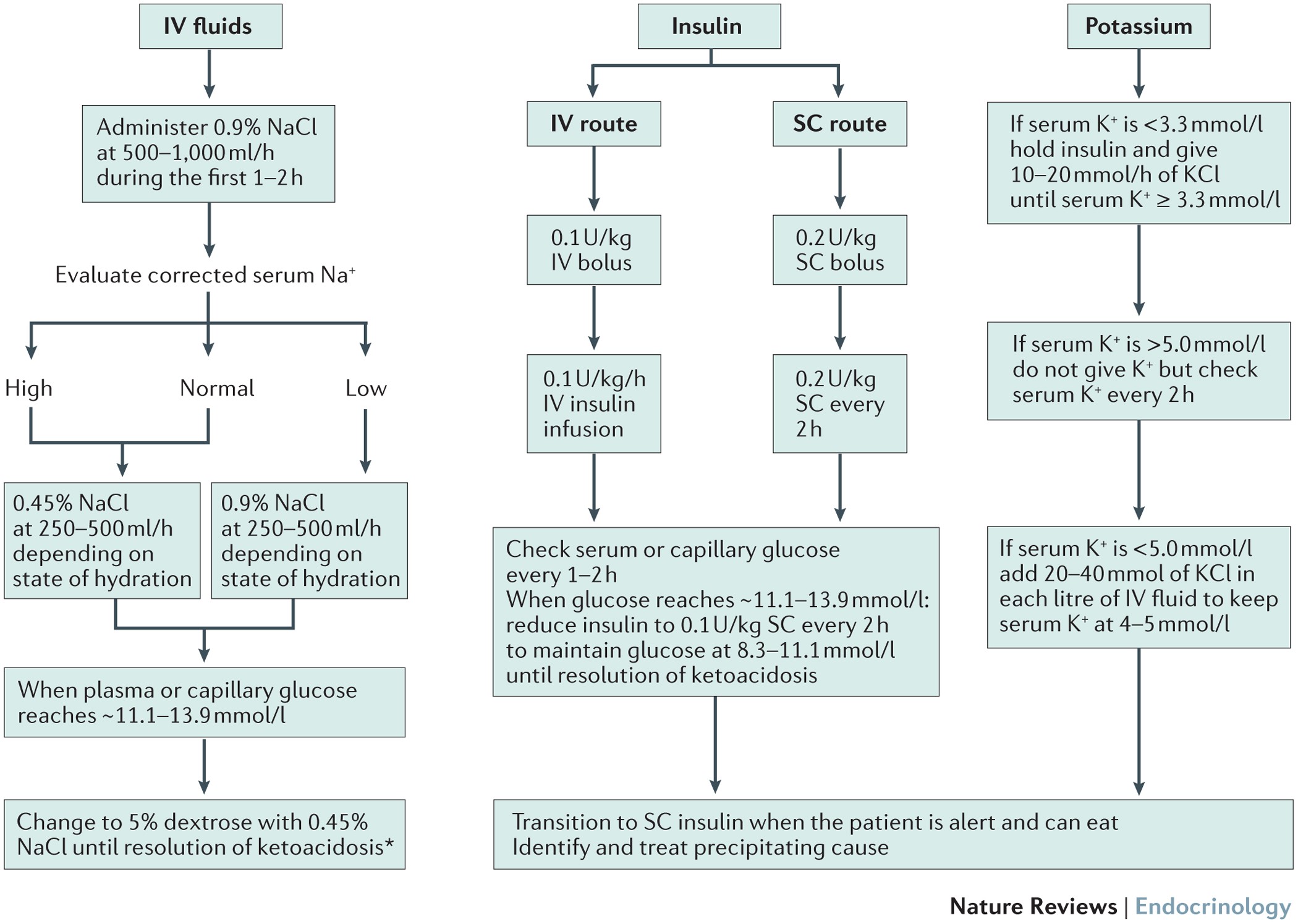 Diabetic Emergencies Ketoacidosis Hyperglycaemic Hyperosmolar
