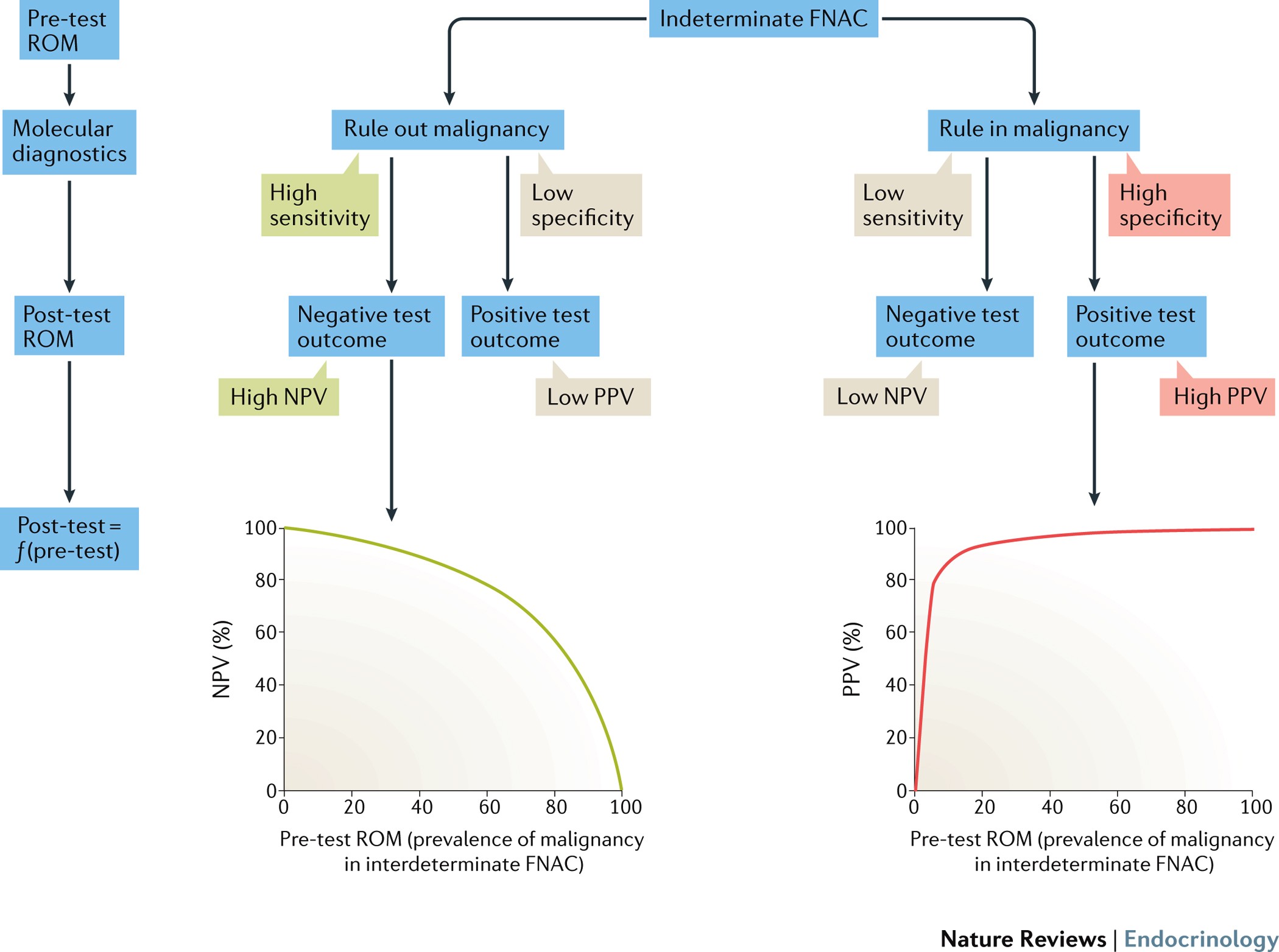 Molecular markers for the classification of cytologically indeterminate  thyroid nodules