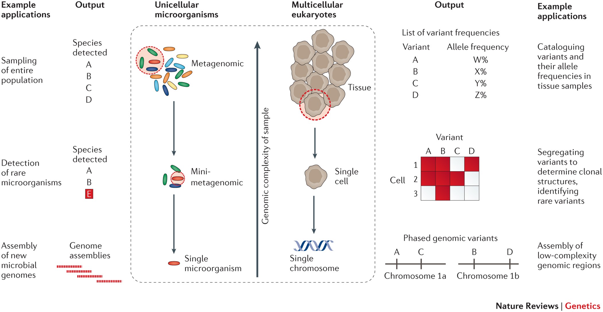 Single cell sequencing