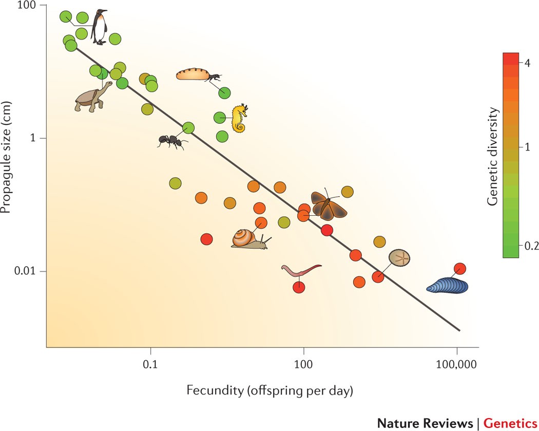 Nature reviews