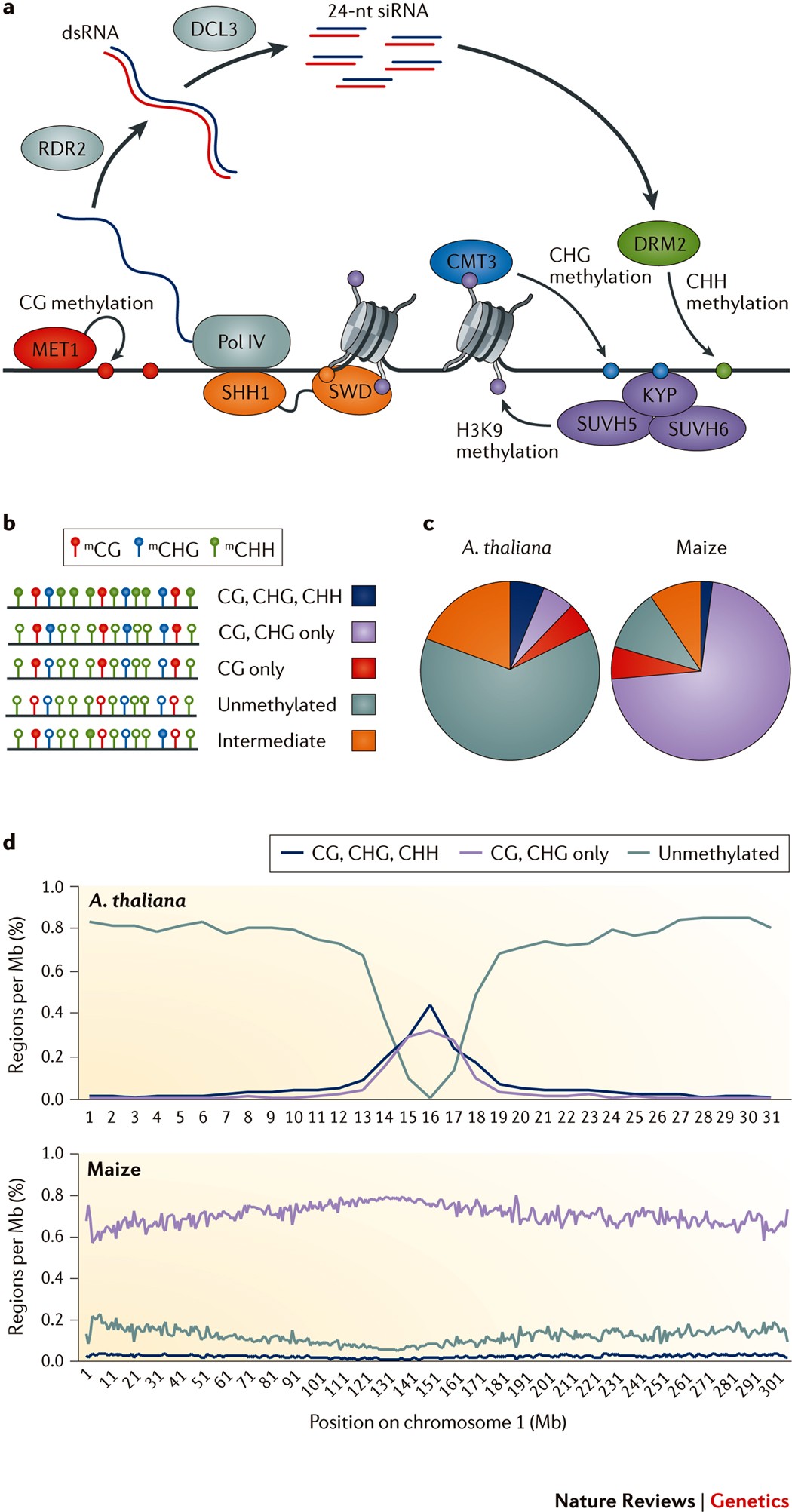 Exploiting Induced And Natural Epigenetic Variation For Crop Improvement Nature Reviews Genetics Exploiting Induced And Natural Epigenetic Variation For Crop Improvement Nature Reviews Genetics