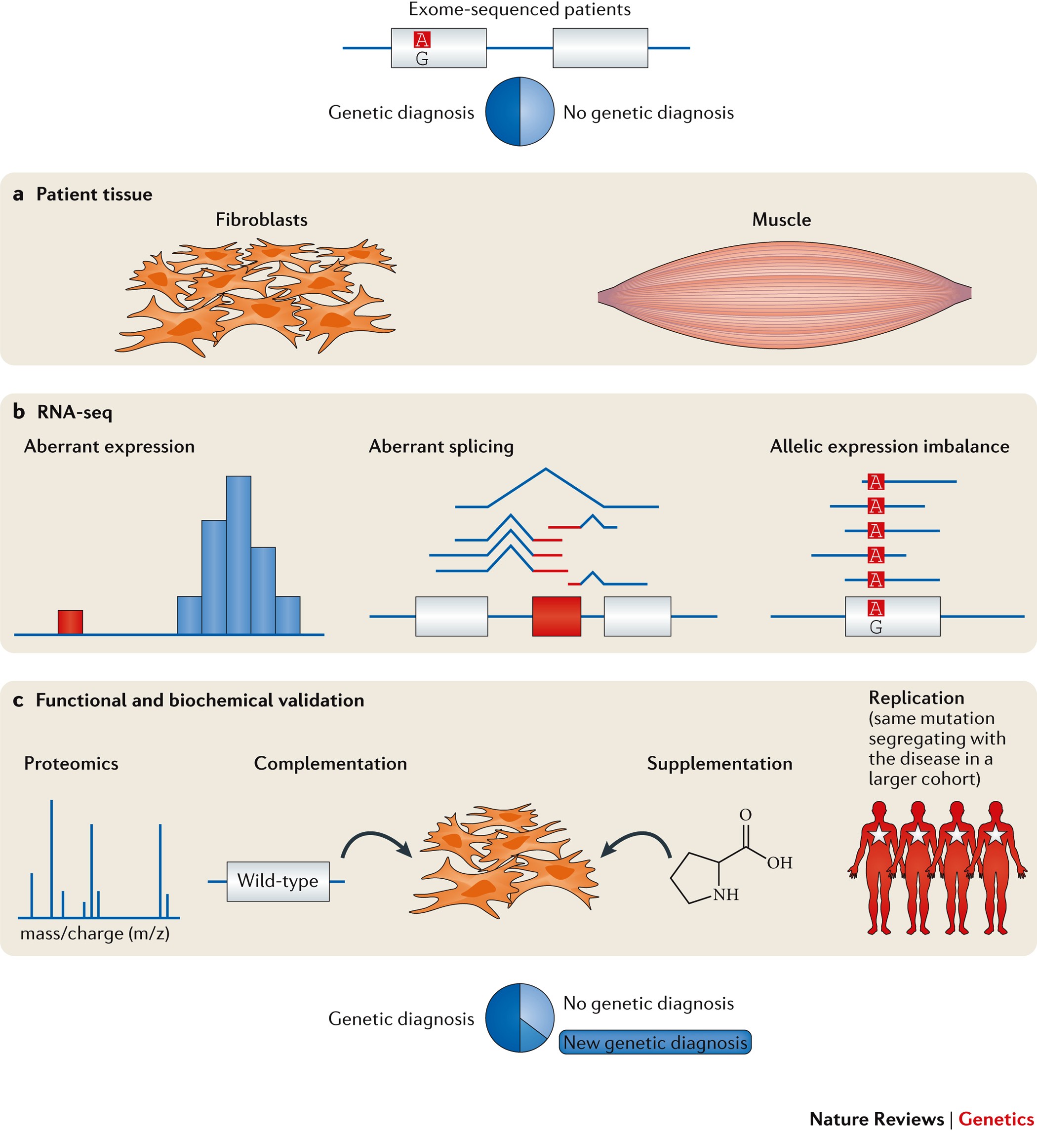 Applying multi‐omics toward tumor microbiome research - Zhang - 2023 -  iMeta - Wiley Online Library