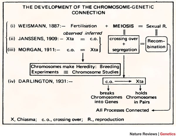 Cyril Dean Darlington: the man who 'invented' the chromosome | Nature Reviews Genetics