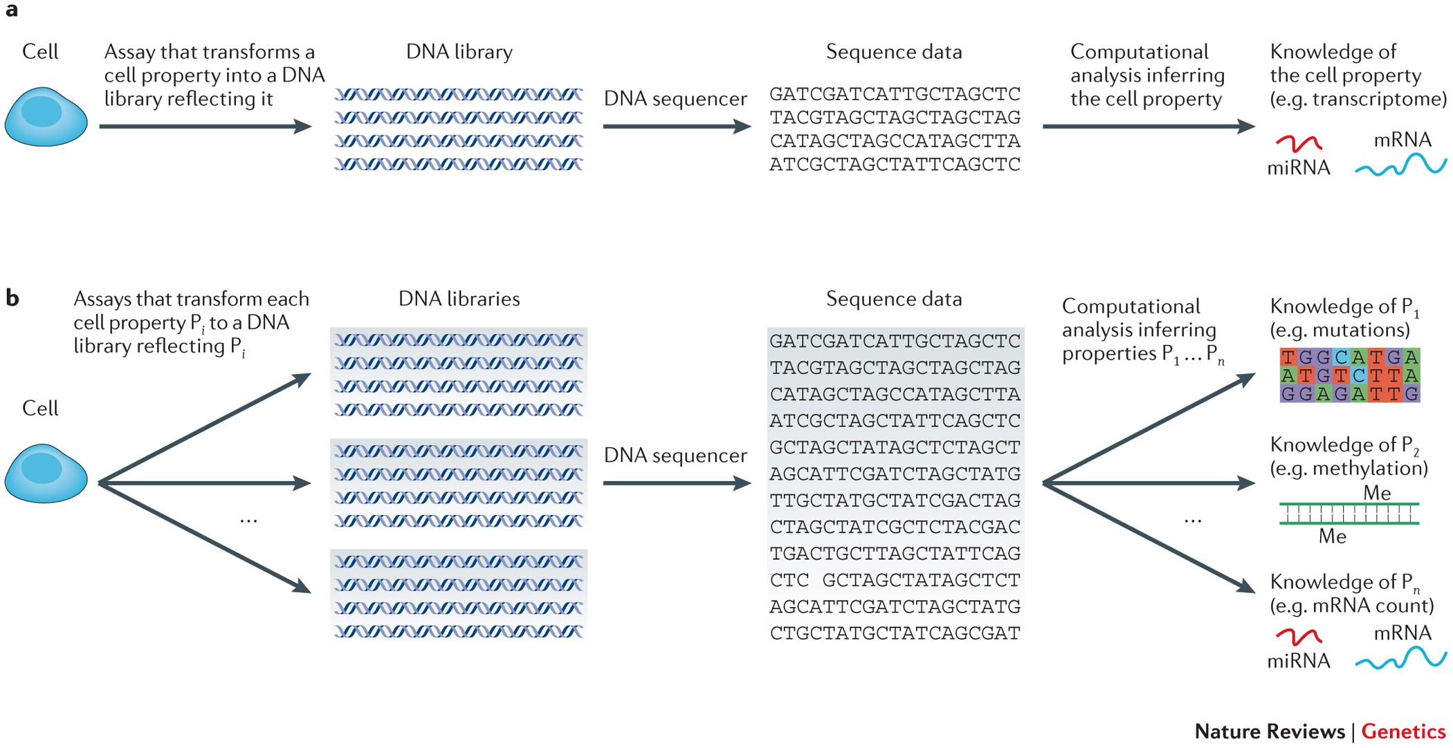 Transform each. DNA Library. DNA sequencing. Next Generation sequencing. Listing/sequencing таблица.