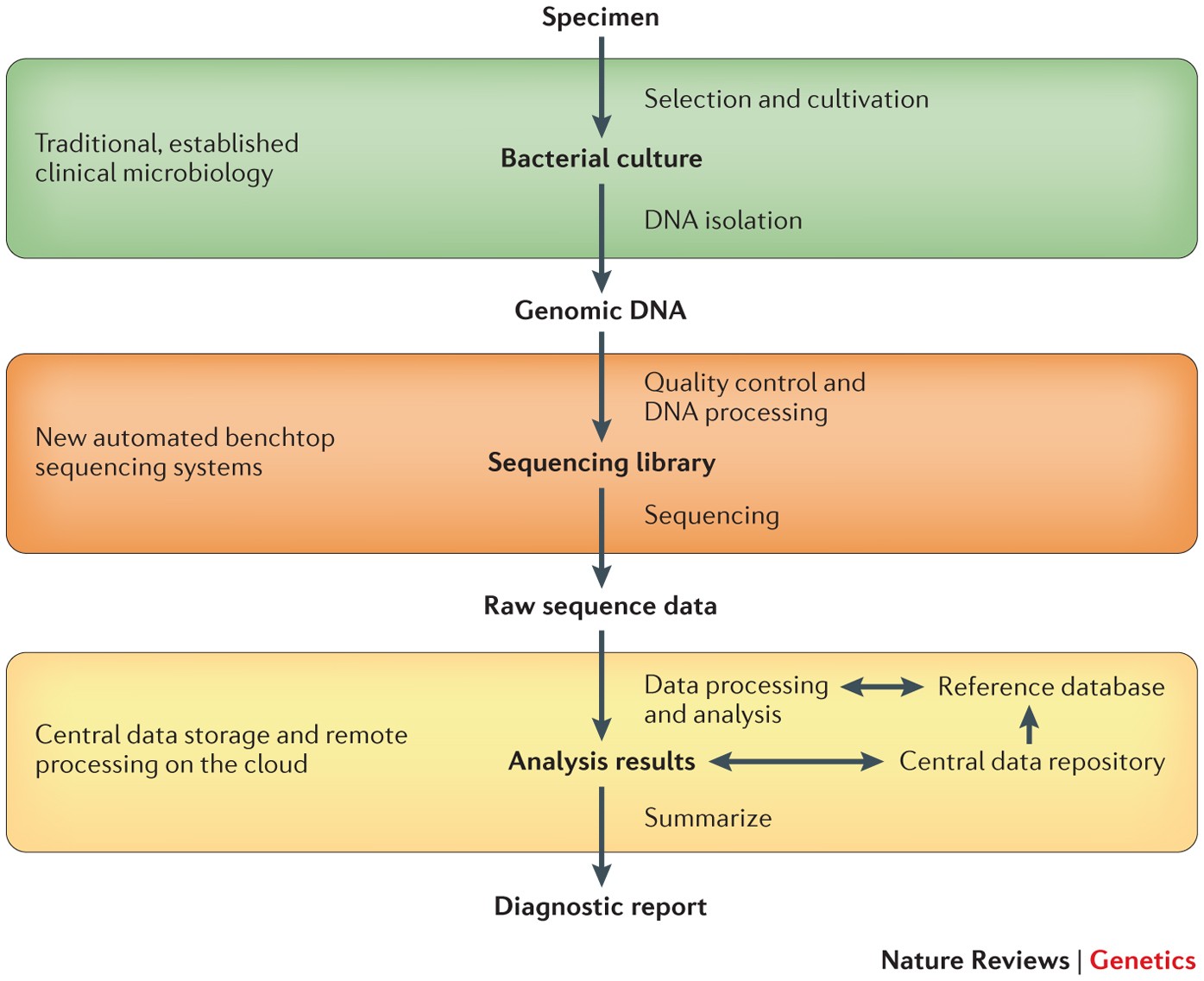 Bacterial genome sequencing in the clinic: bioinformatic challenges and  solutions | Nature Reviews Genetics