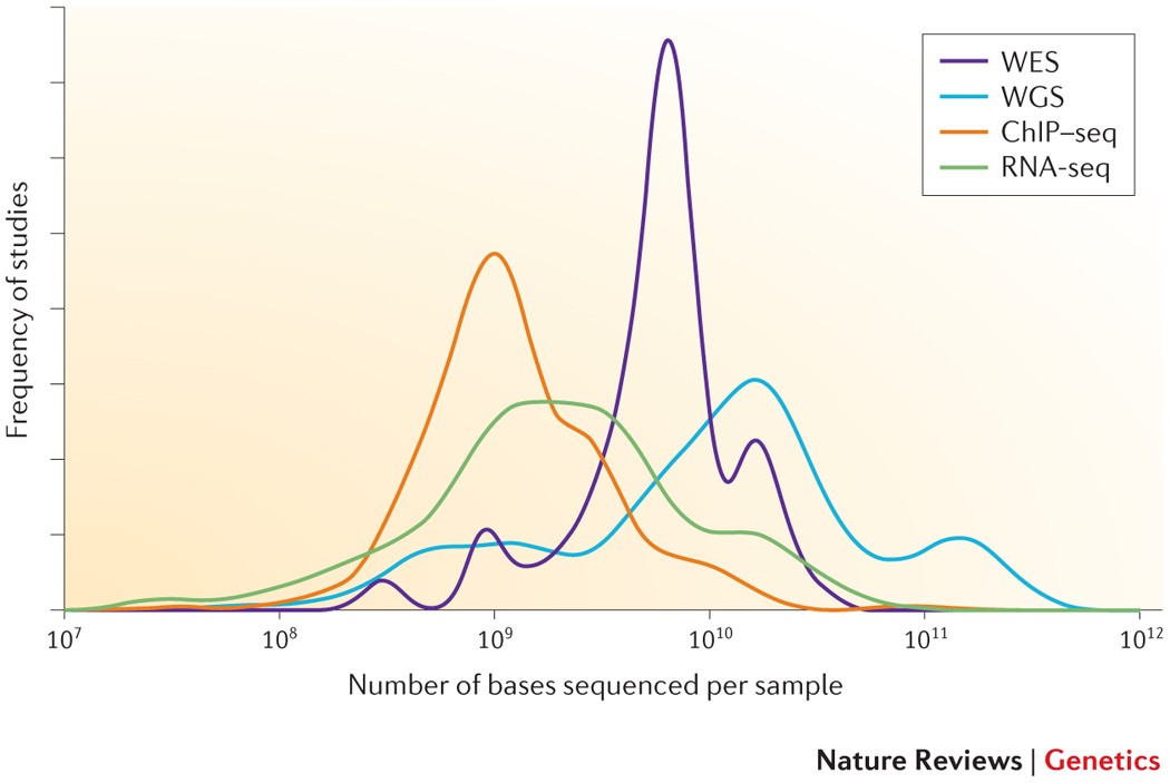 Sequencing depth and coverage: key considerations in genomic analyses |  Nature Reviews Genetics
