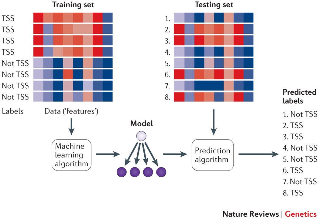 A Concise Explanation of Learning Algorithms with the Mitchell