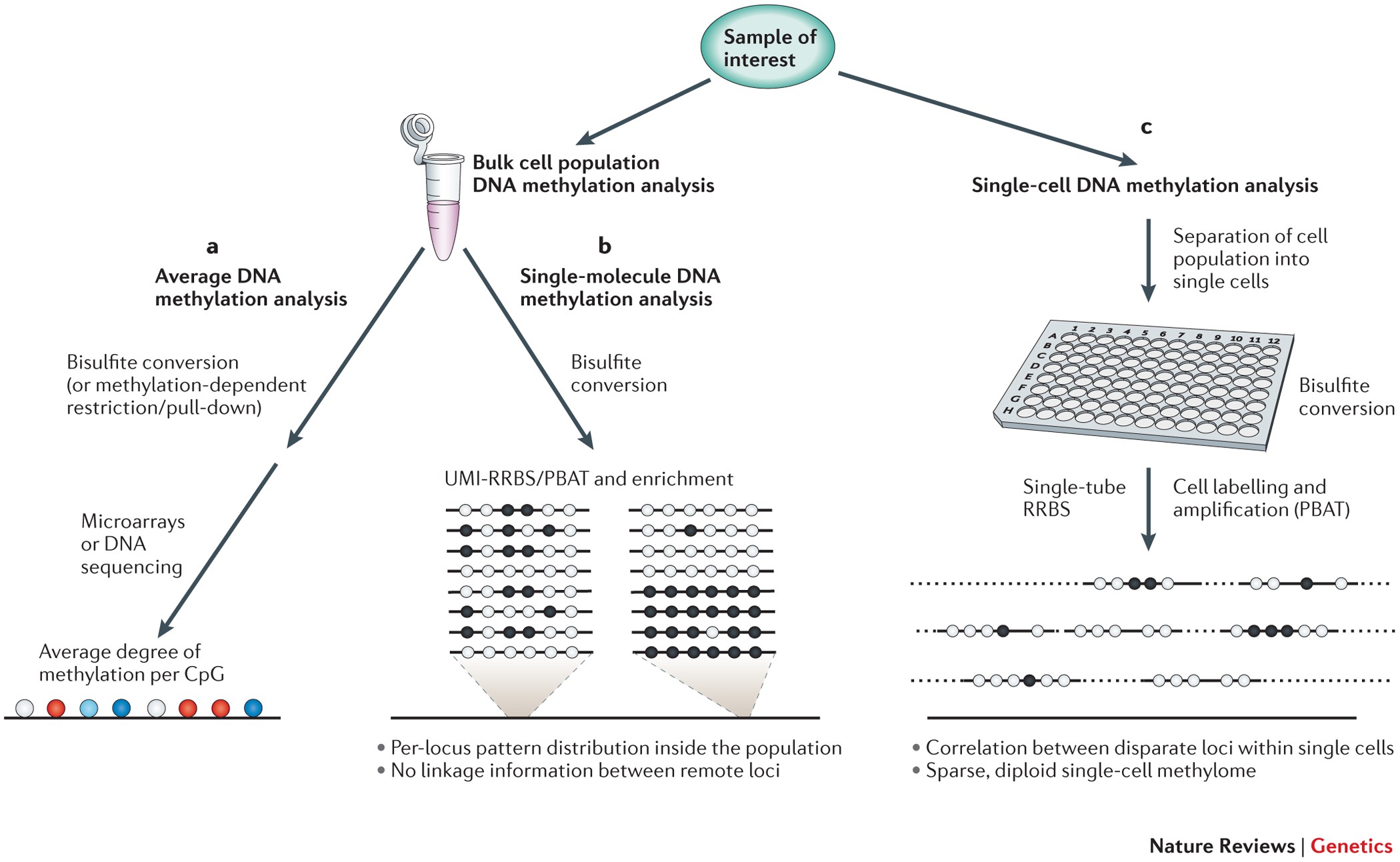 Single-Cell Epigenomics and Functional Fine-Mapping of