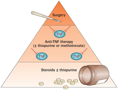 First-line therapy in adult Crohn's disease: who should receive anti-TNF  agents? | Nature Reviews Gastroenterology & Hepatology