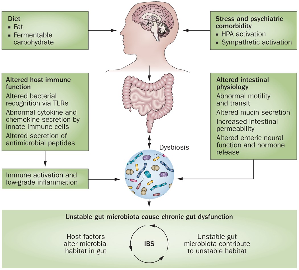 dysbiosis stress cancerul bucal simptome