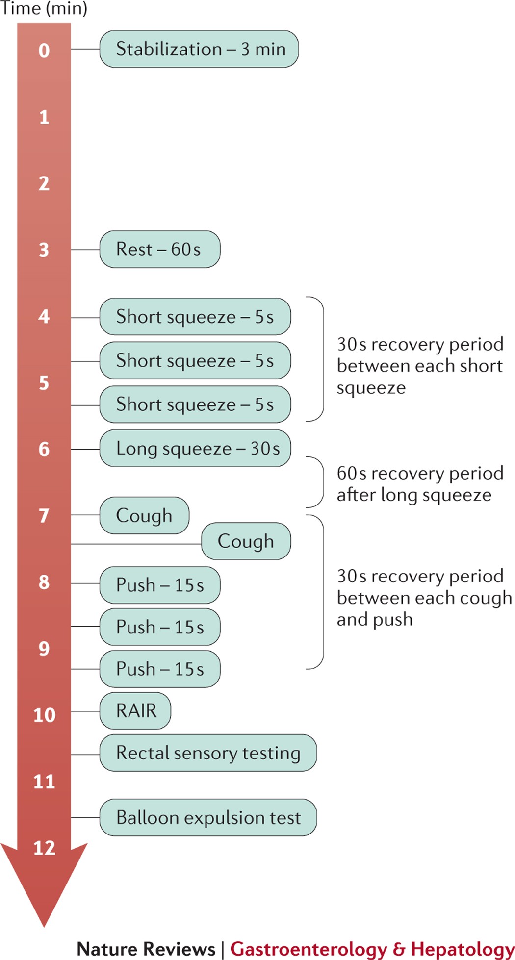 Advances in the evaluation of anorectal function | Nature Reviews ...