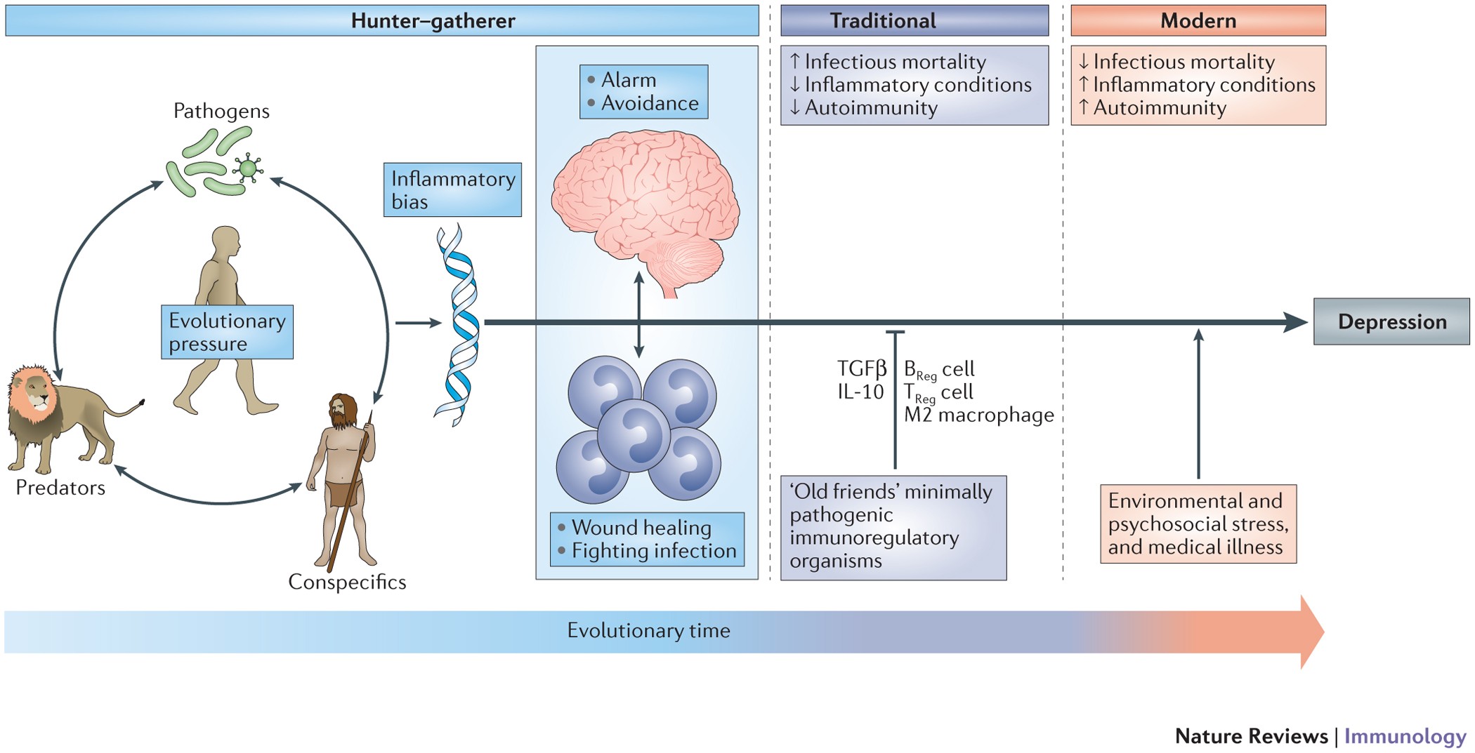 Nature Reviews Immunology - In this Review