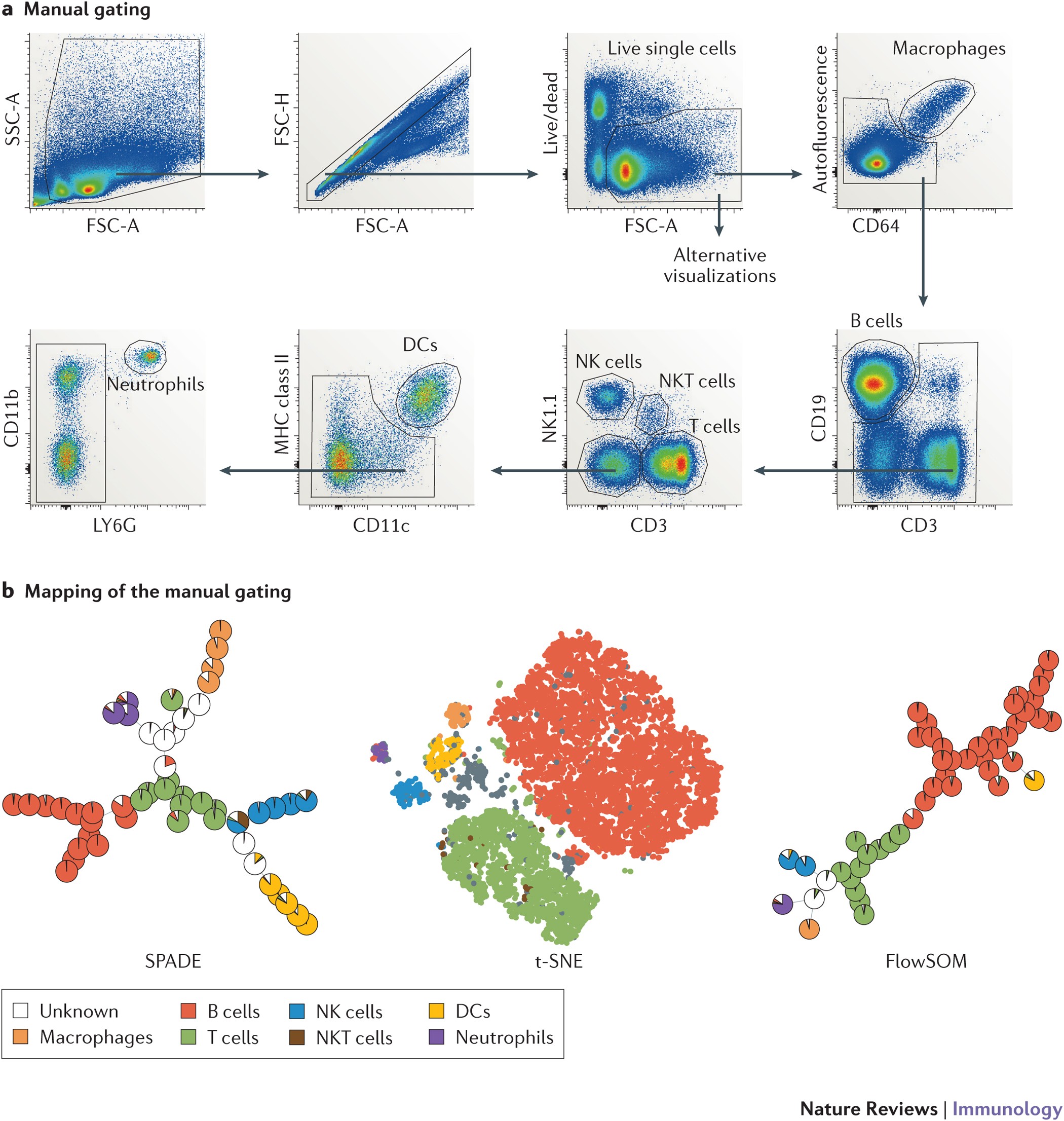 Flow cytometry : basic principles  What the use of flow cytometry