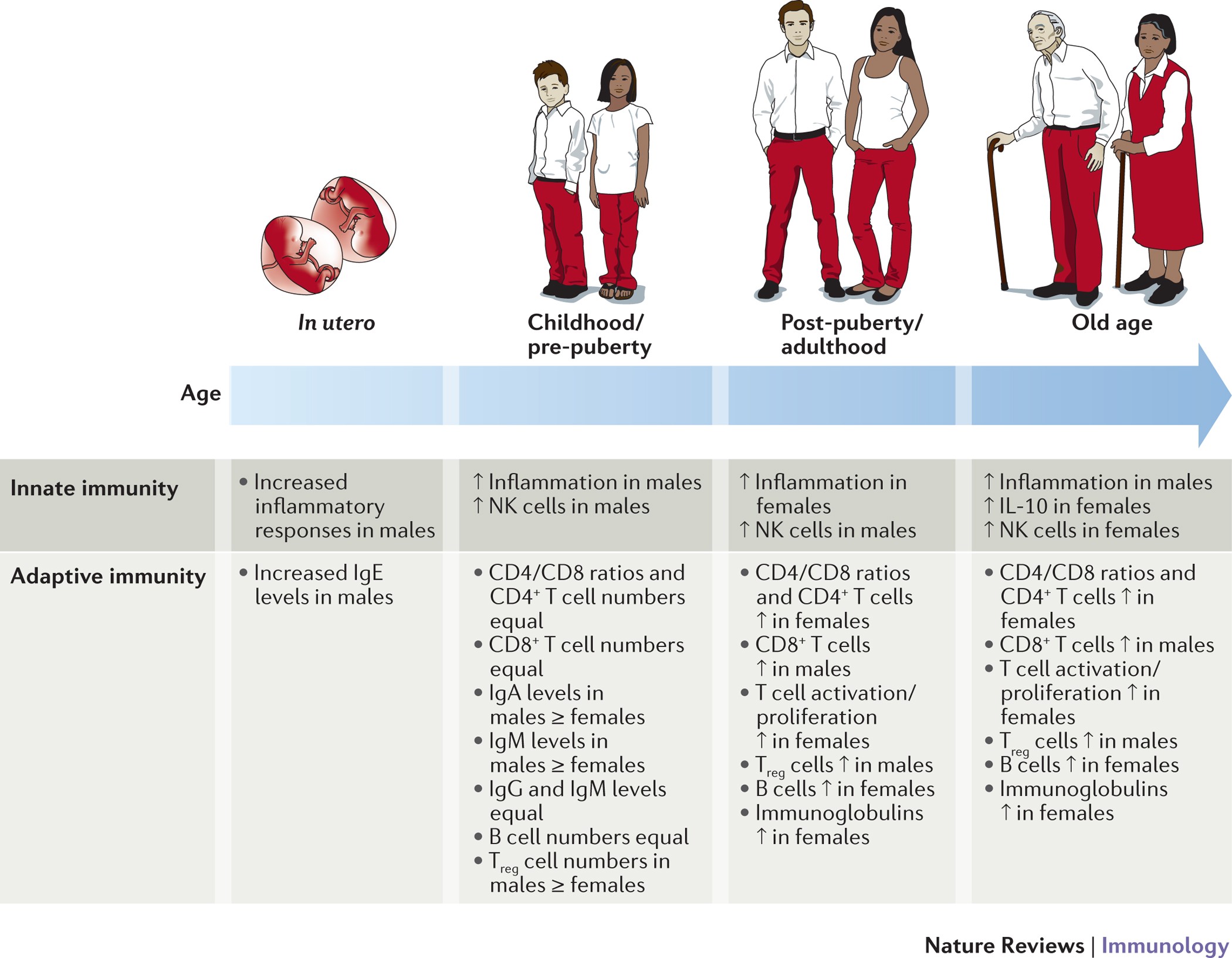 Sex differences in immune responses Nature Reviews Immunology pic