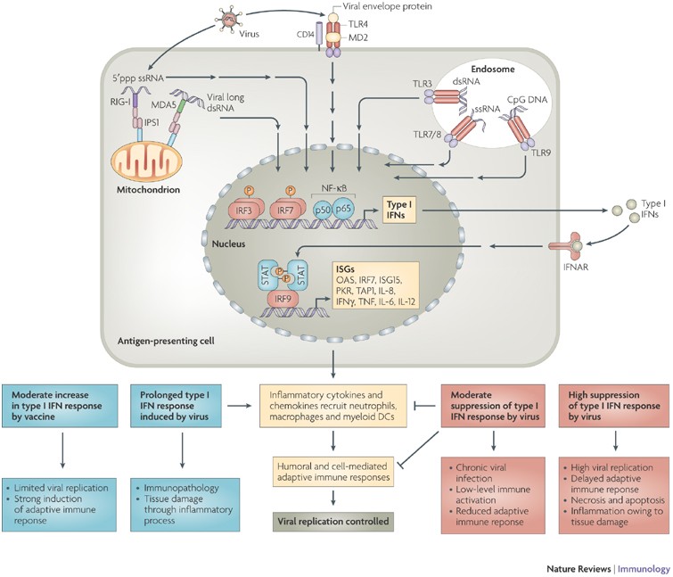 Utility of Proteomics in Emerging and Re-Emerging Infectious Diseases  Caused by RNA Viruses