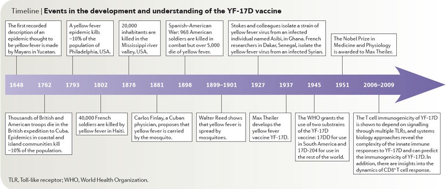 Learning immunology from the yellow fever vaccine: innate immunity to  systems vaccinology | Nature Reviews Immunology