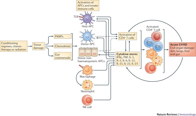 Advances In Graft Versus Host Disease Biology And Therapy Nature Reviews Immunology