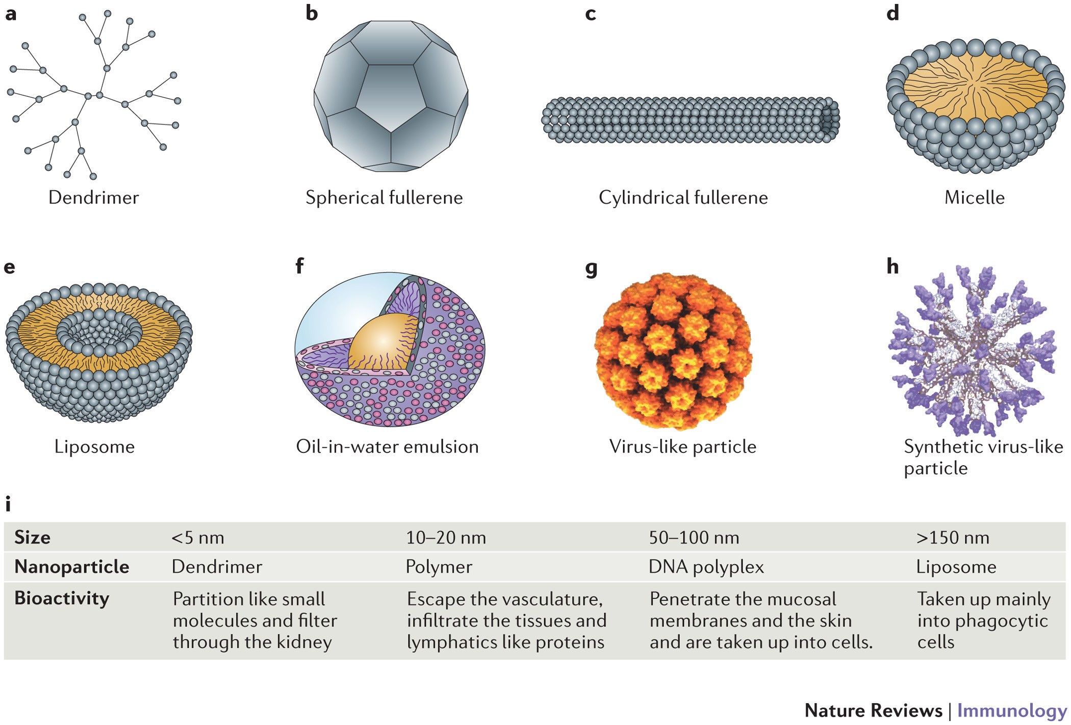 Applications of nanotechnology for immunology | Nature Reviews Immunology
