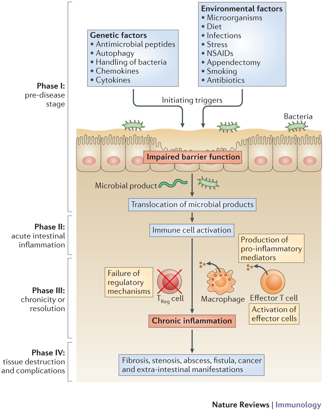 Ulcerative colitis  Nature Reviews Disease Primers