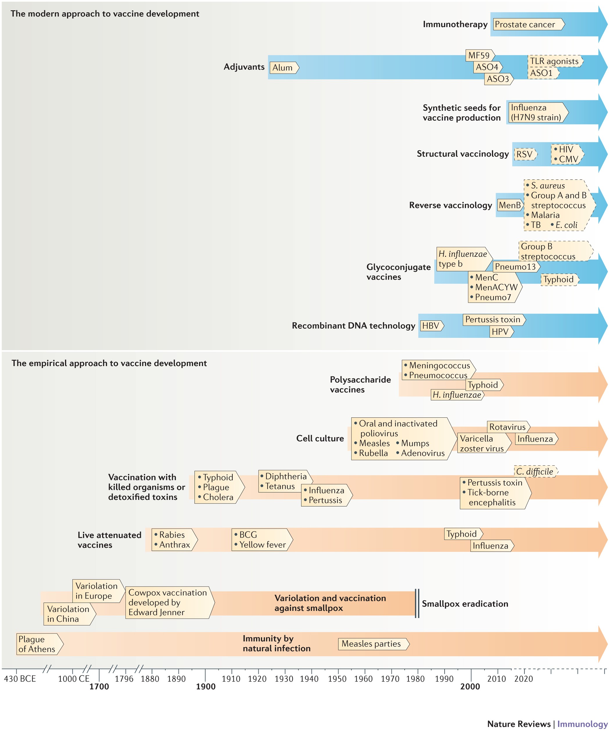 From empiricism to rational design: a personal perspective of the evolution  of vaccine development | Nature Reviews Immunology
