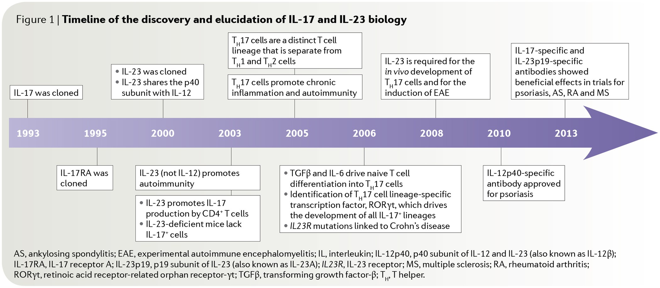 The Il 23 Il 17 Immune Axis From Mechanisms To Therapeutic Testing Nature Reviews Immunology