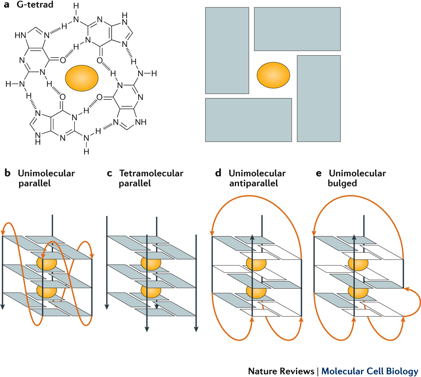 Solved a) N,N-dimetilbutanamida b) CH, ge C-NCH CHI c) | Chegg.com, image size:1395x1249