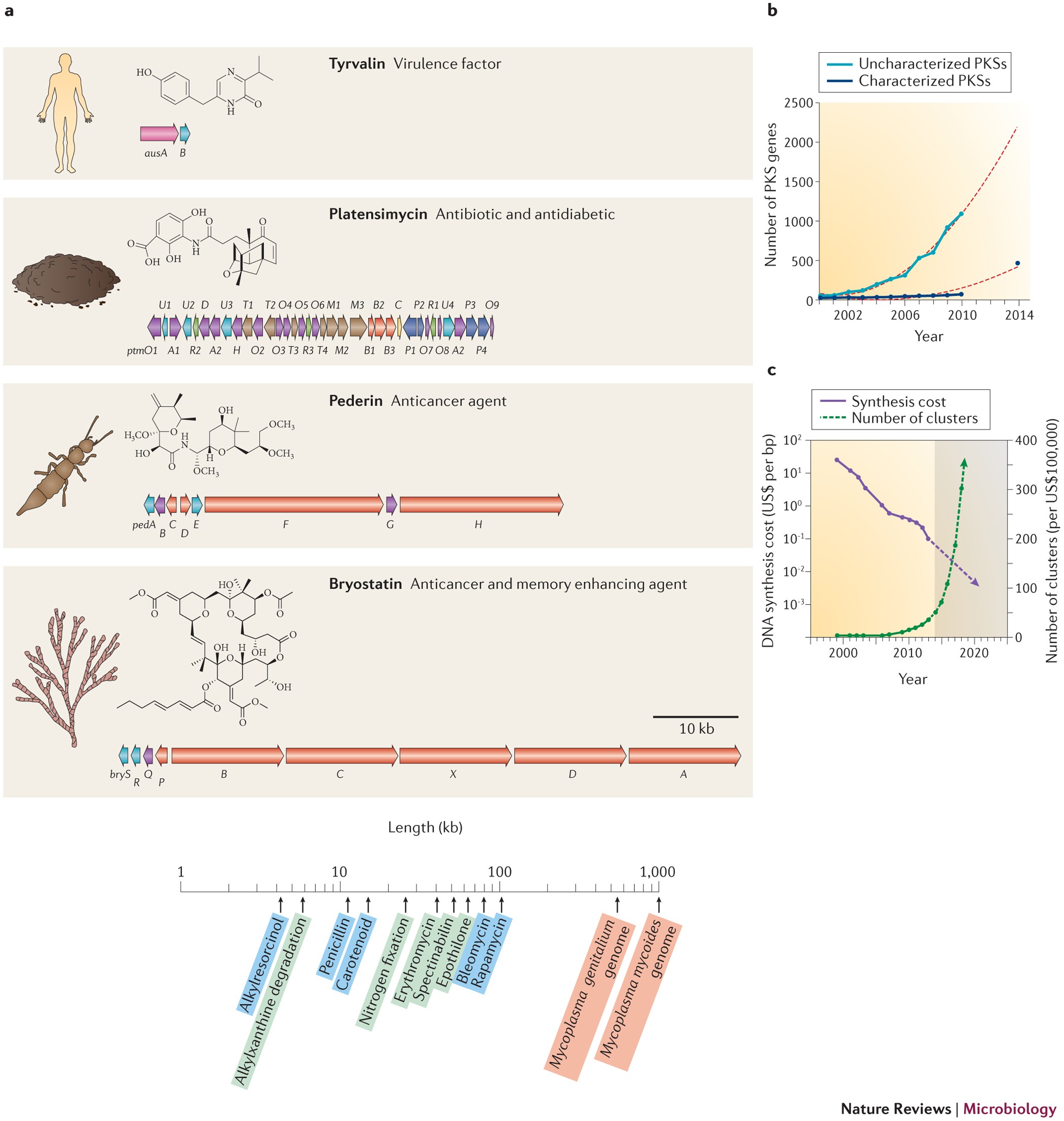 Synthetic biology to access and expand nature's chemical diversity | Nature  Reviews Microbiology