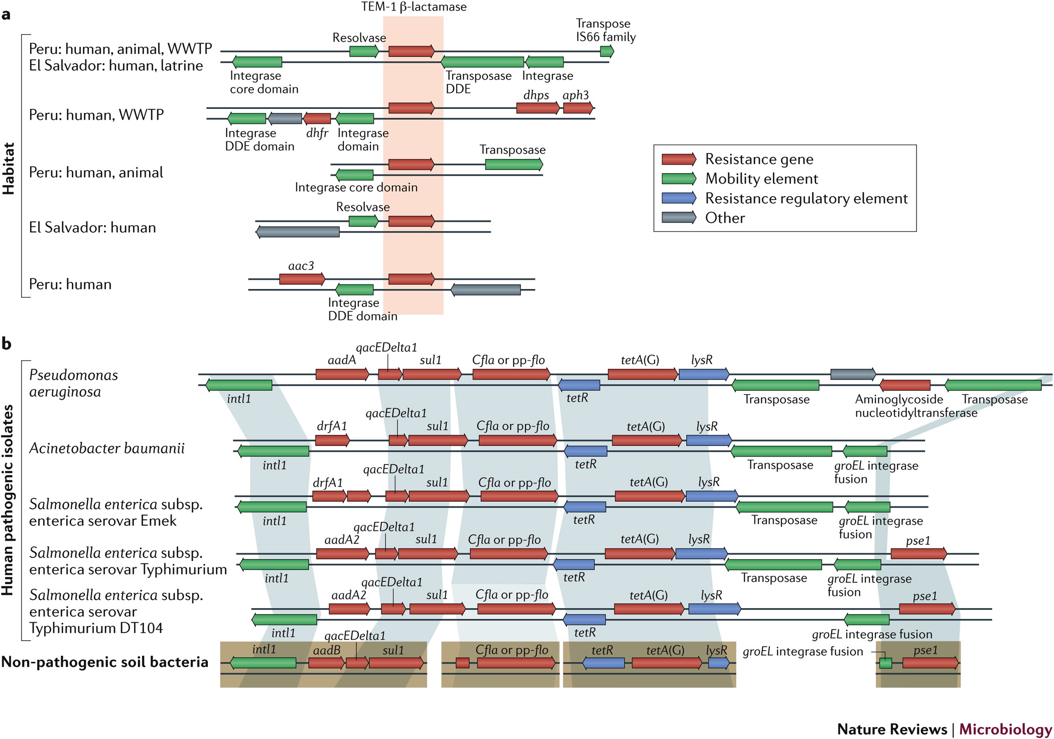 The Antibiotic Resistome: A Guide for the Discovery of Natural