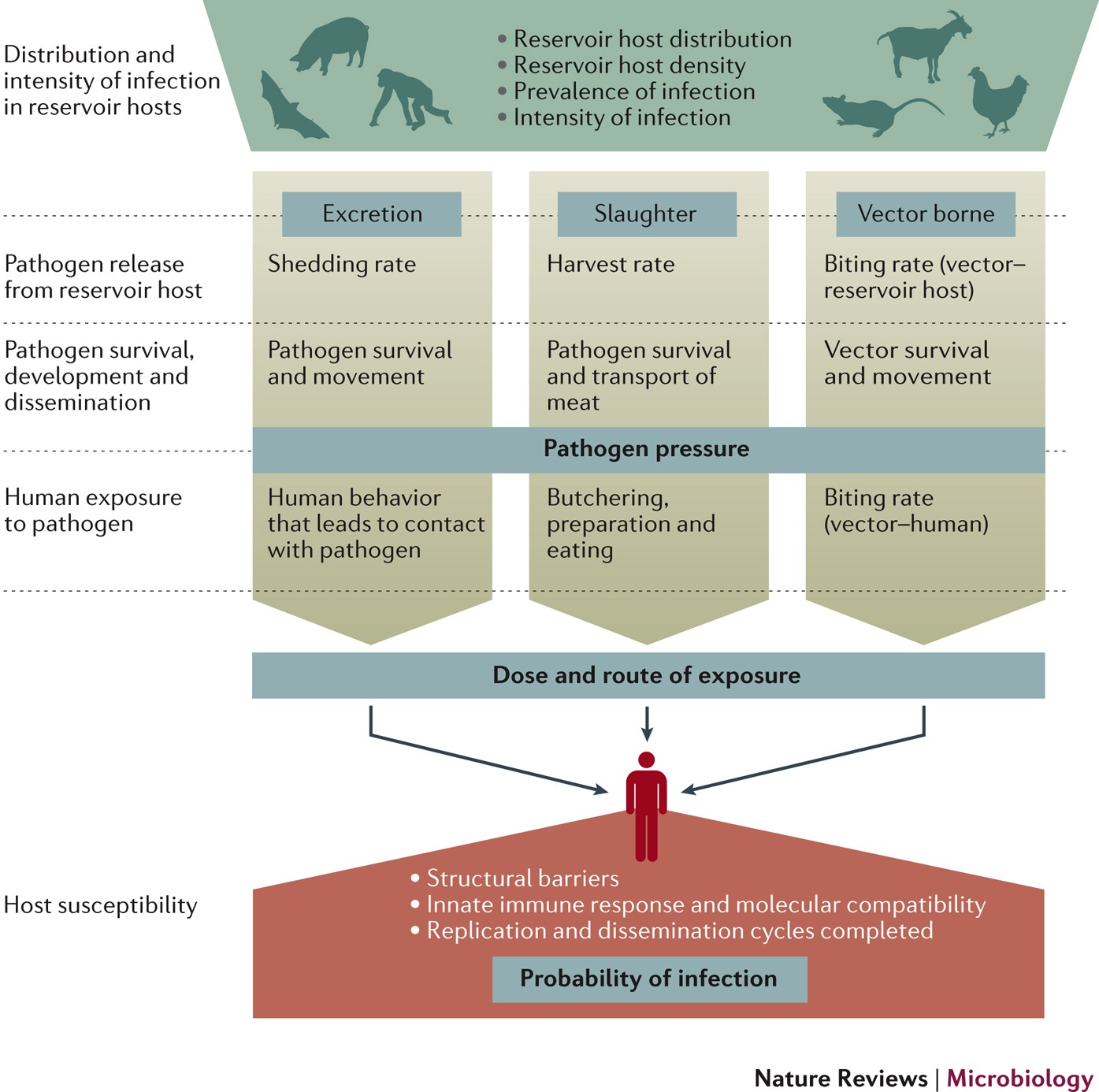 Pathways to zoonotic spillover | Nature Reviews Microbiology